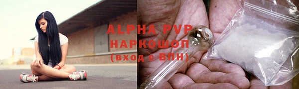 ГАЛЛЮЦИНОГЕННЫЕ ГРИБЫ Заволжье